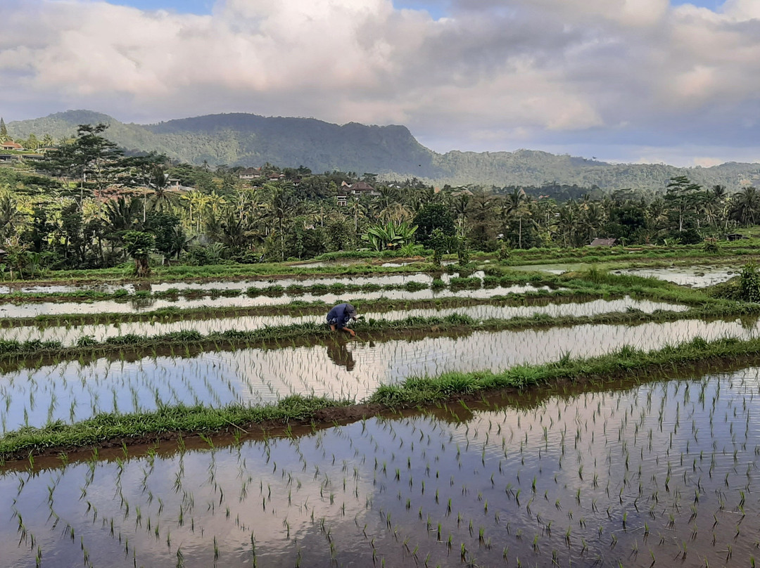 Visit Sidemen-席德门必去景点