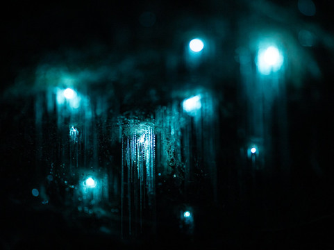 Taiao Adventures-罗托鲁瓦必去景点