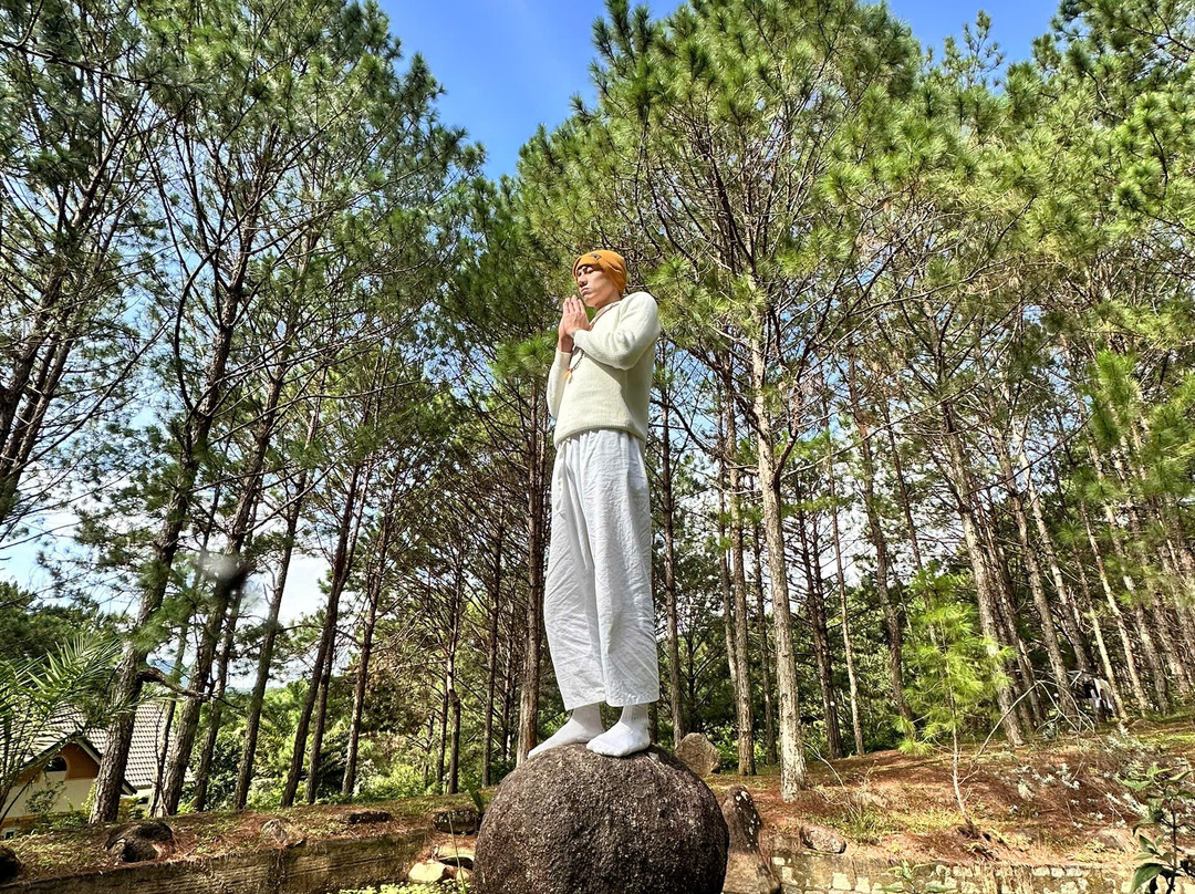 Sivananda Yoga Resort And Training Center-大勒必去景点