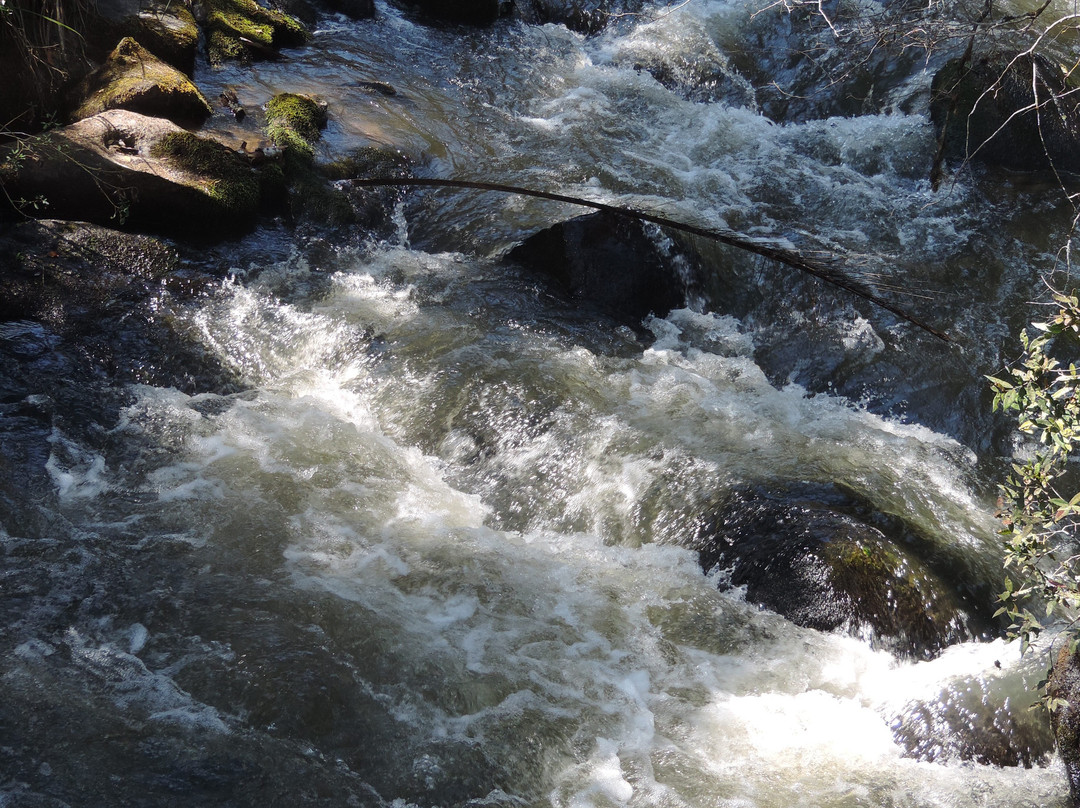 Parque Municipal Cachoeira do Salto-Extrema必去景点