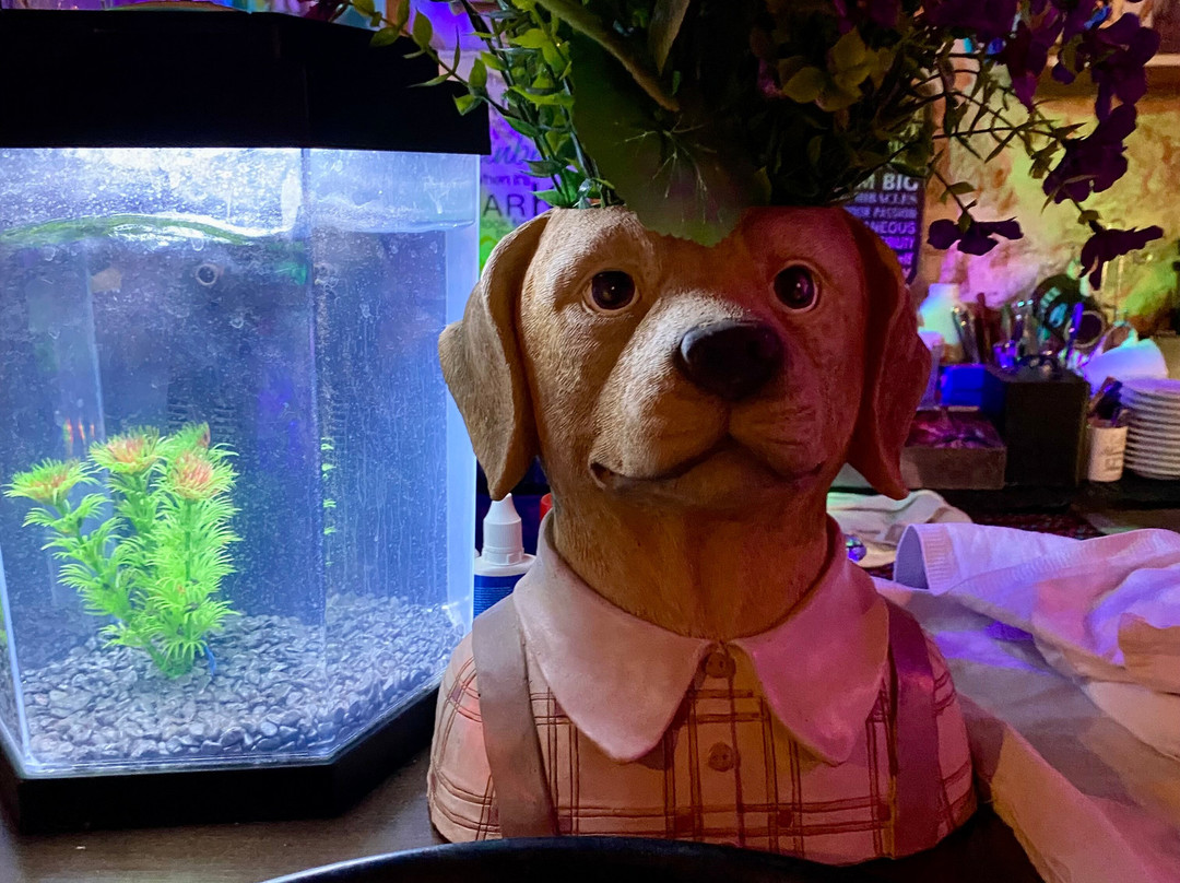 The Village Inn Cafe & Pub-赫索尼索斯必去景点