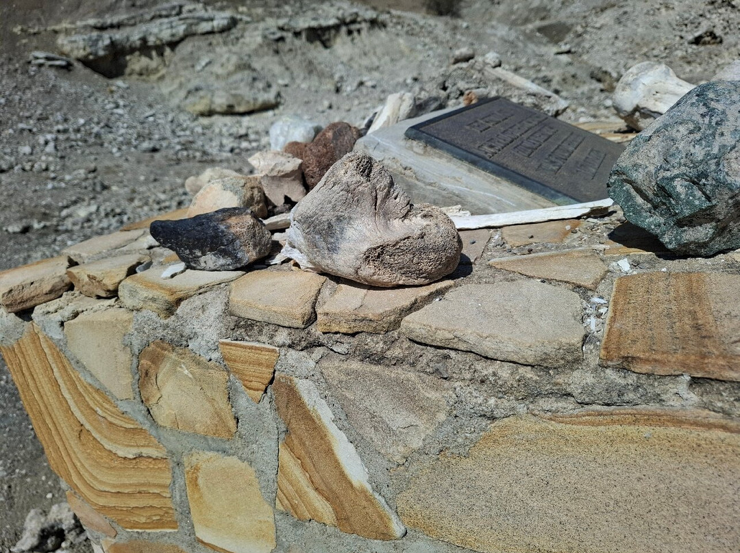 Golden Dream Safaris-阿鲁沙必去景点