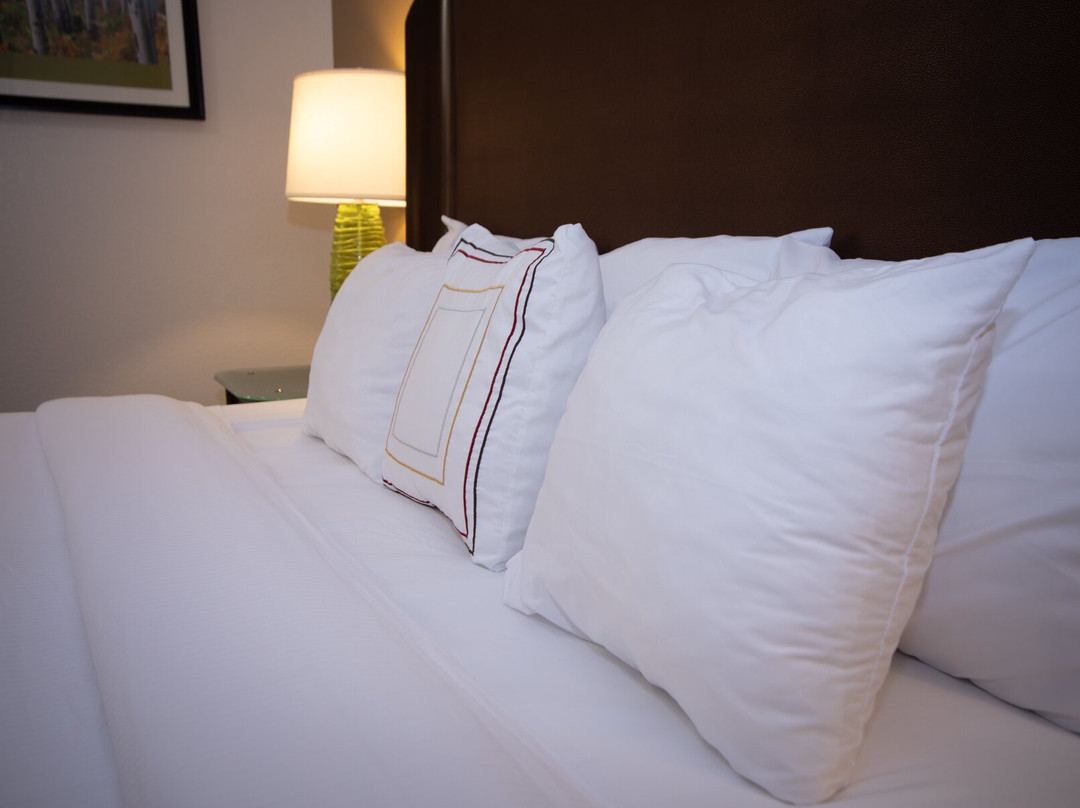 Alliance Hotel & Suites, a Howard Johnson by Wyndham主图