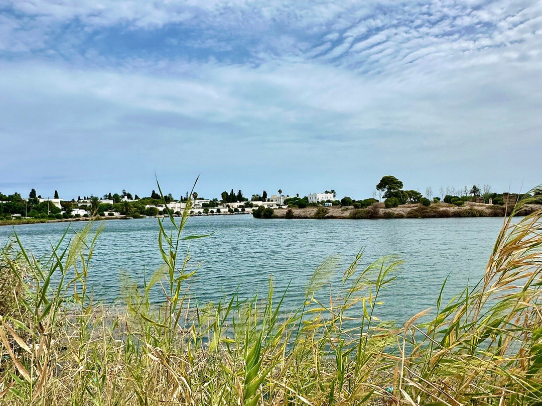 Punic Ports & Museum-迦太基必去景点