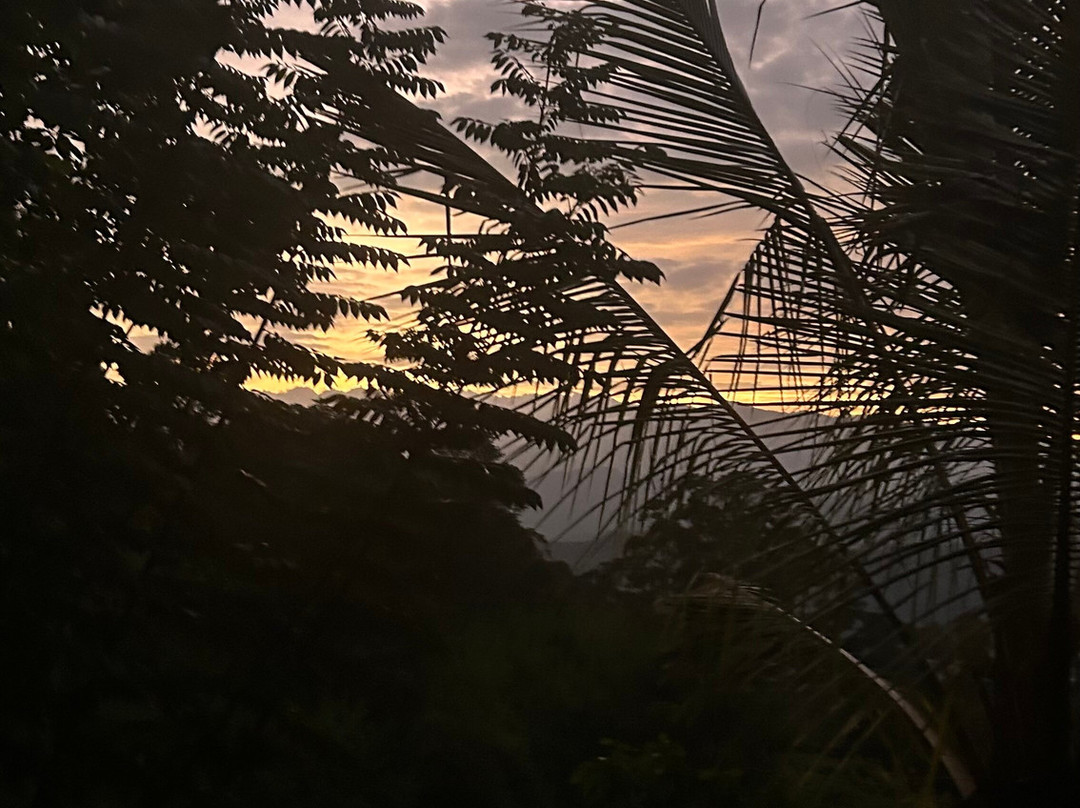 Narangala Mountainous Tourism With Robinson's Path-Badulla必去景点