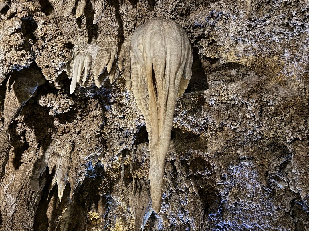 Grotta Antro del Corchia-Levigliani必去景点