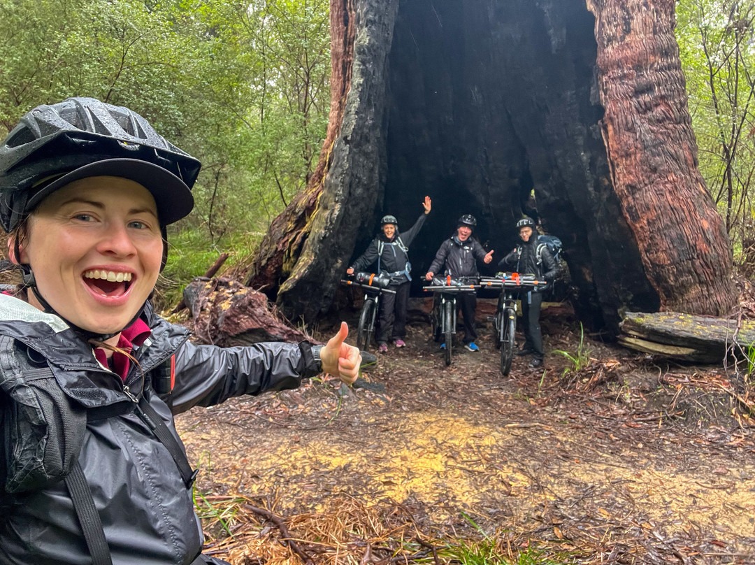 Wow Wilderness Ecoadventures-沃泊尔必去景点