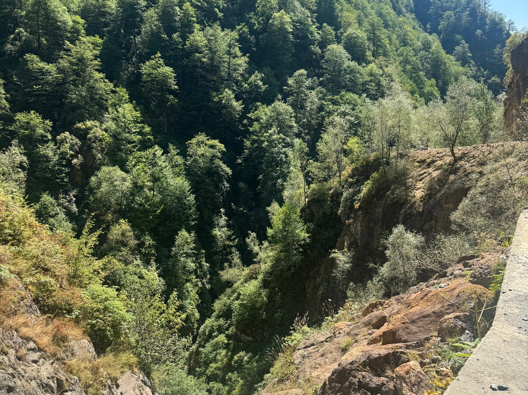 National Park of Tusheti-Omalo必去景点