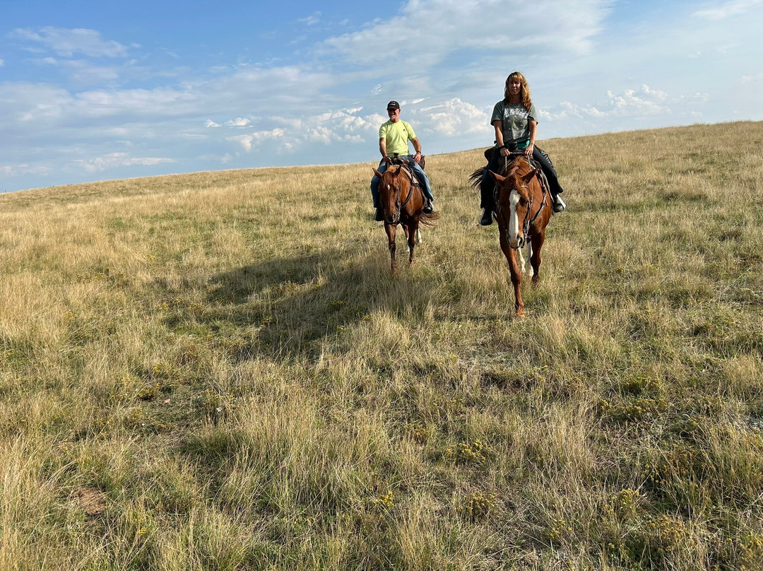 Hi Horse Adventures