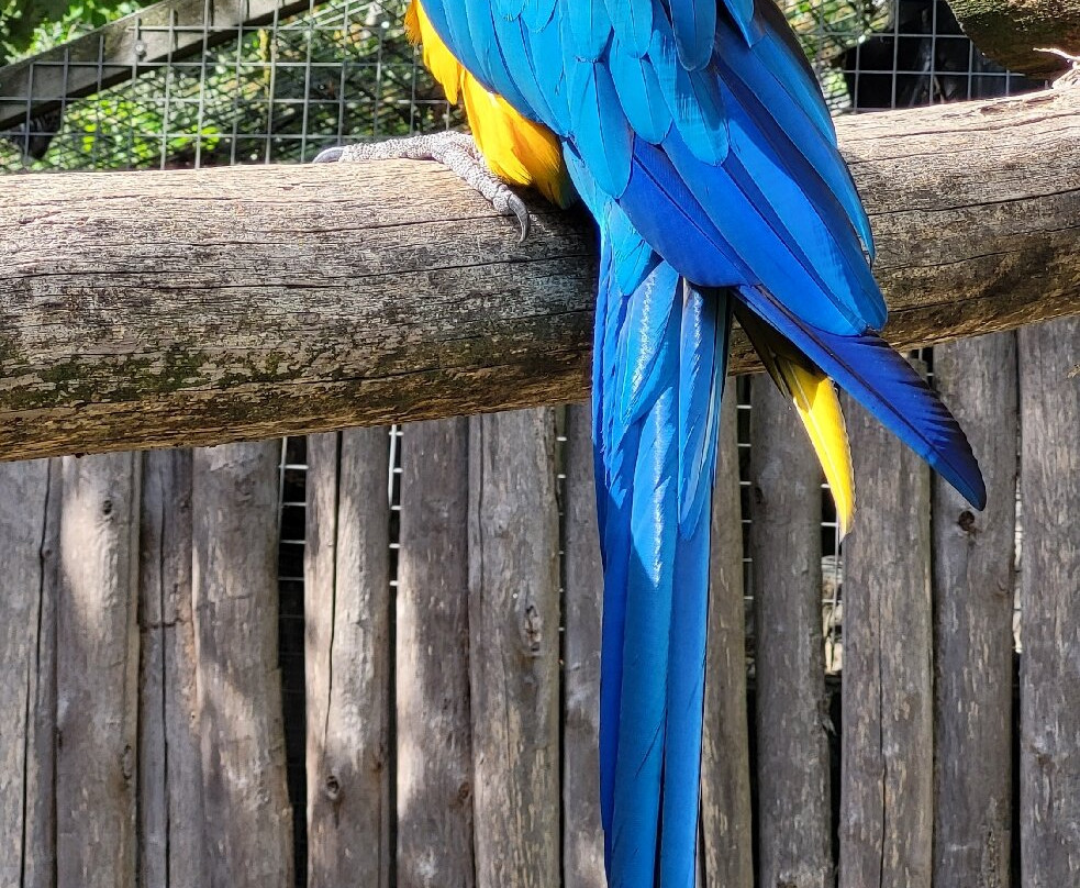 Boerderij Daalhoeve-马斯特里赫特必去景点