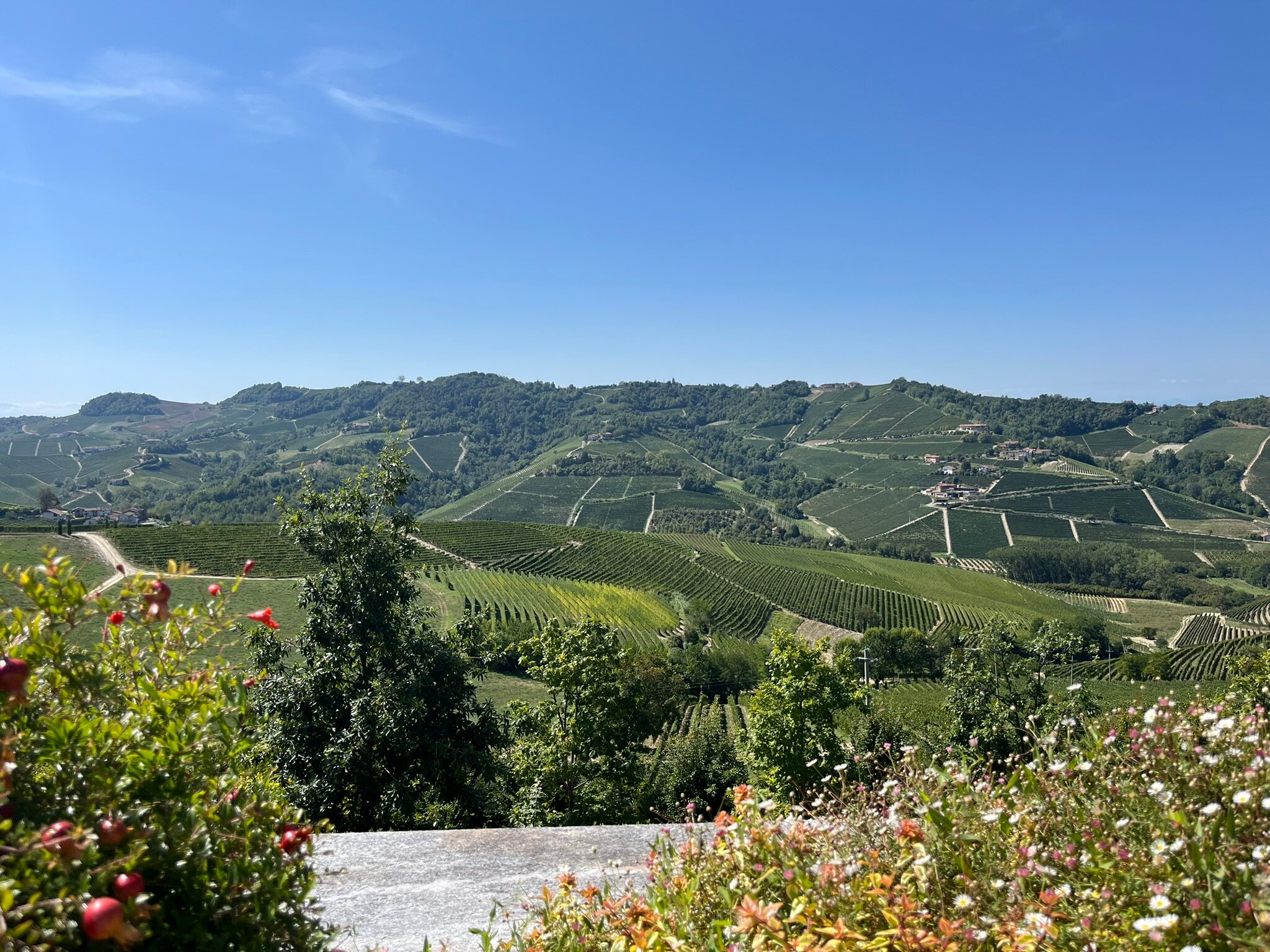 Tenuta Bricchi-浴室