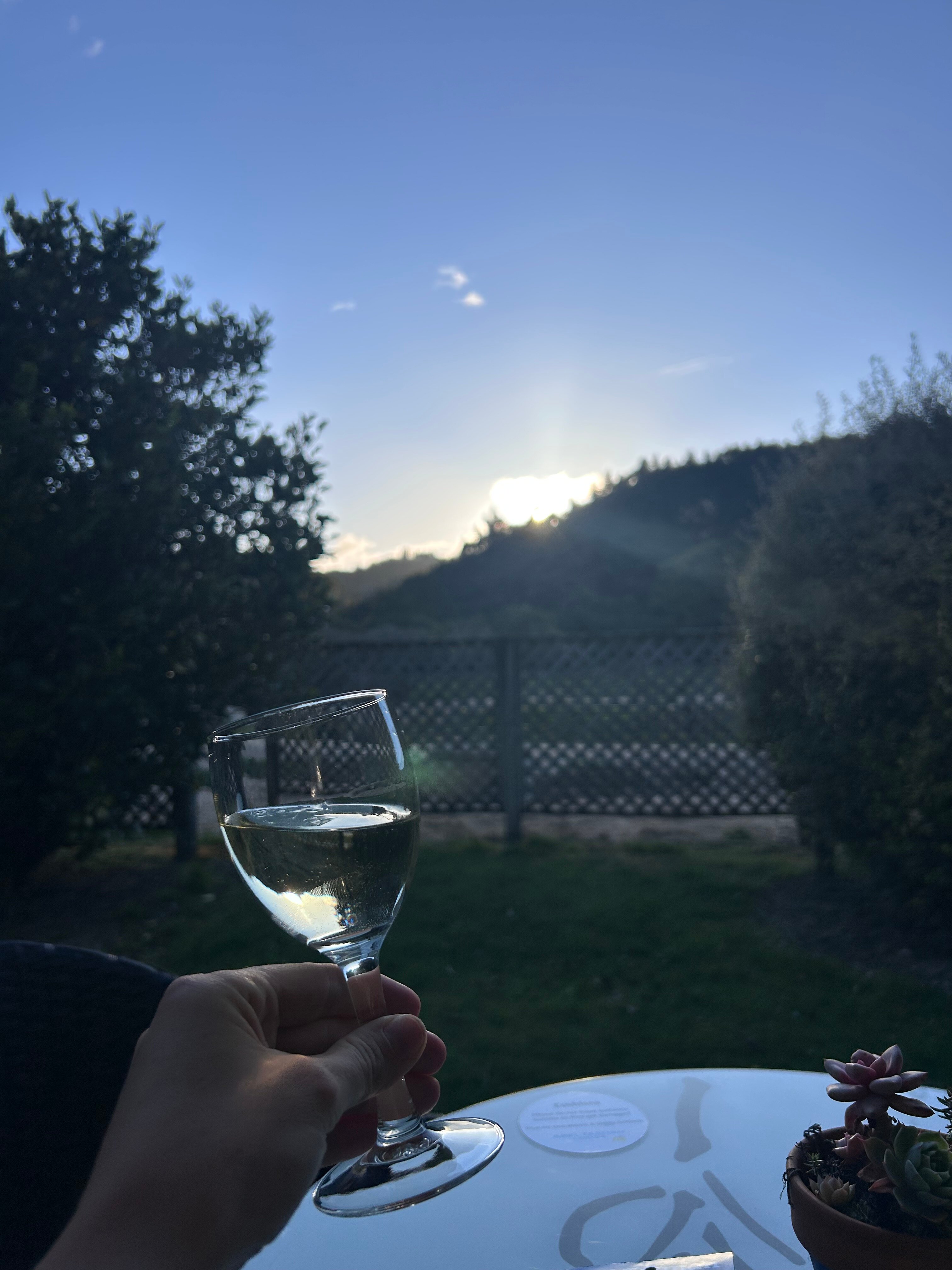 Abel Tasman Lodge-官方