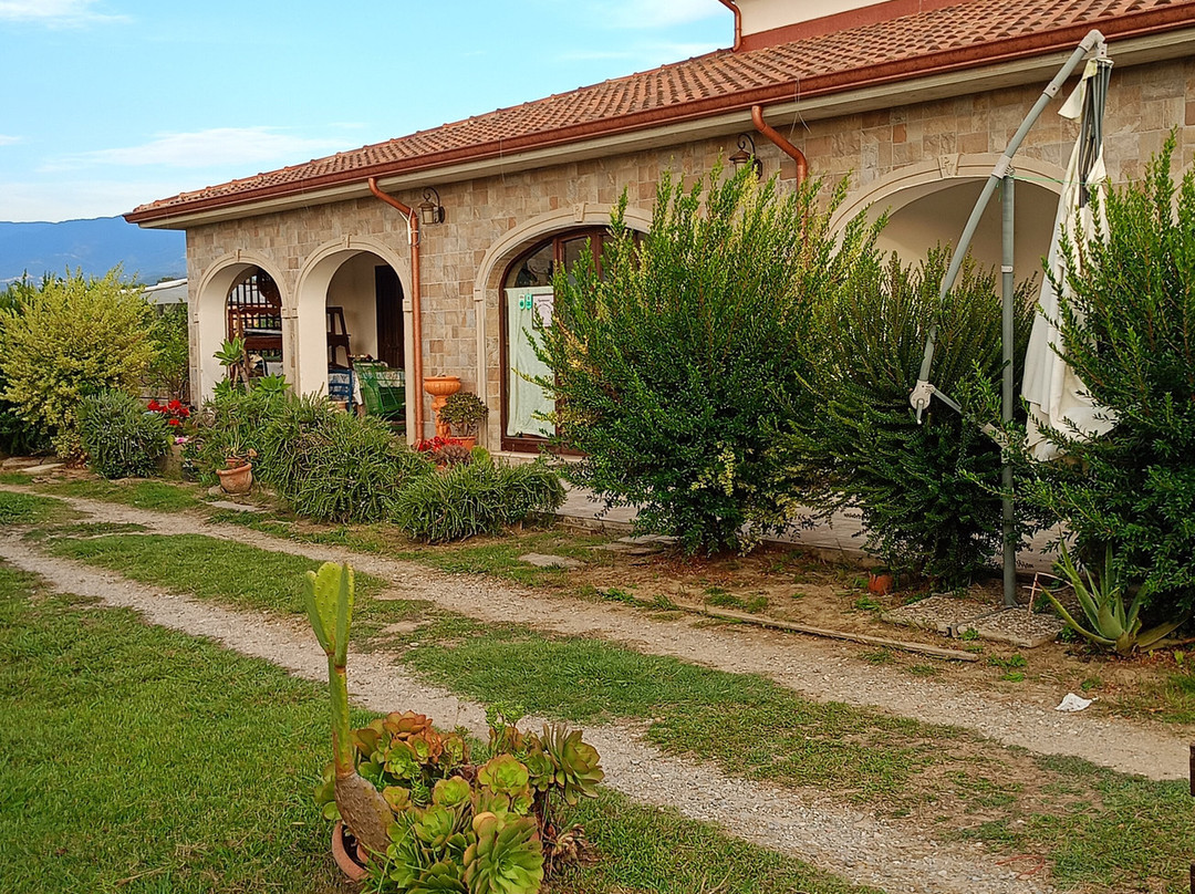Agriturismo Tenuta Portararo主图