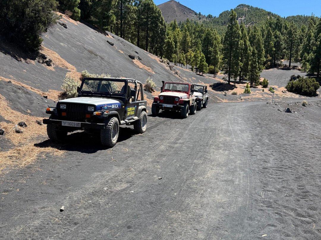 Viajes Idea 4x4 Tours La Palma-Mazo必去景点