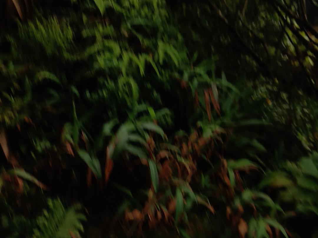 Vert Intense-Saint-Claude必去景点