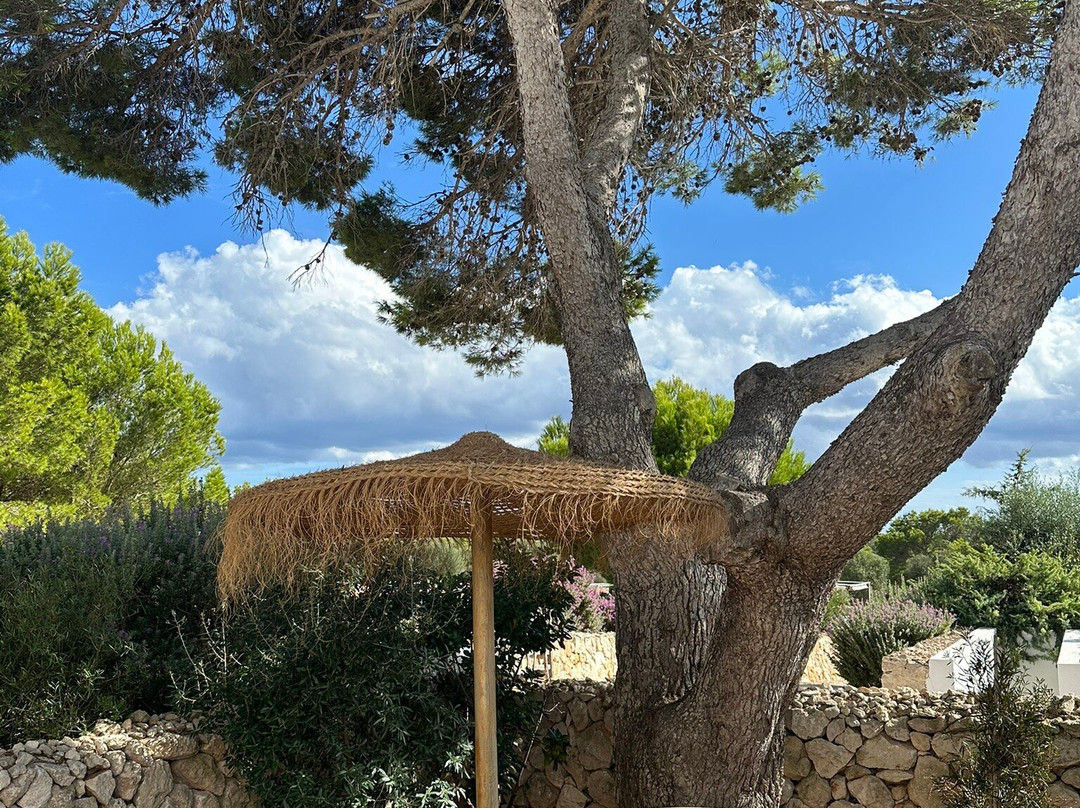 Menorca Experimental主图