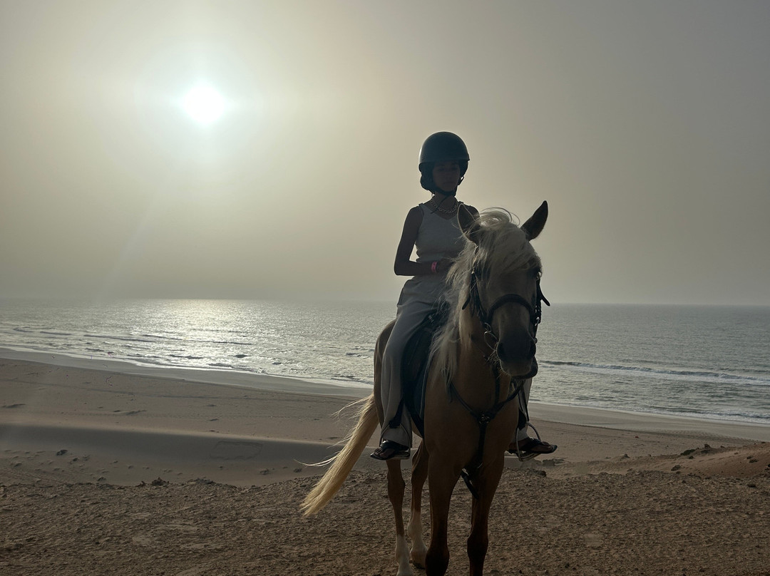 DAKHLA RIDE ADVENTURES-达赫拉必去景点