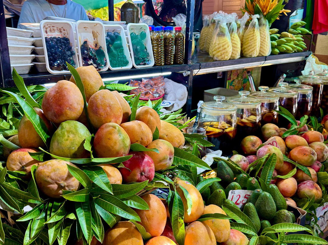 Antonio Taxi Mauritius-Palmar必去景点