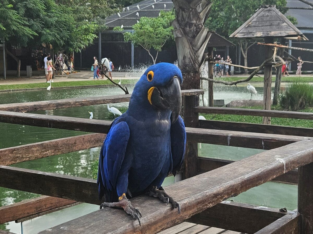 莽卡加西亚-贝伦必去景点