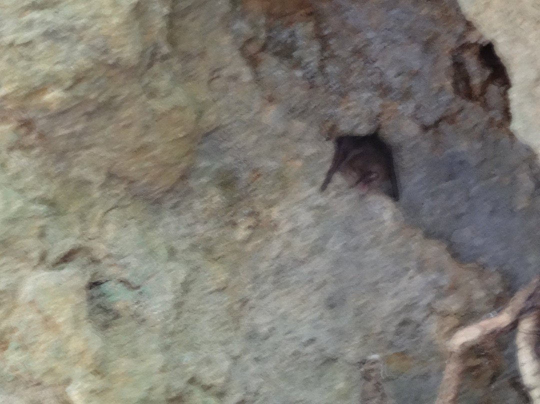 Grottes d'Isturitz & Oxocelhaya-Saint-Martin-d'Arberoue必去景点