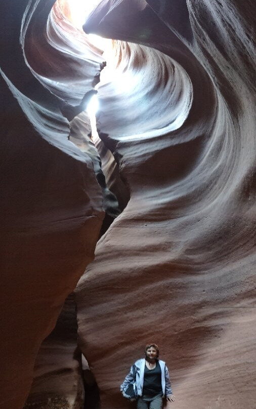 Zion Park Motel主图