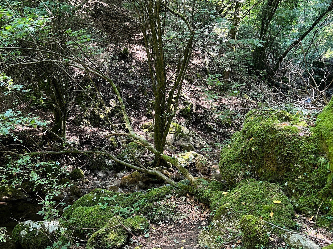 Tana del ghiro La Fattoria Didattica-Serino必去景点