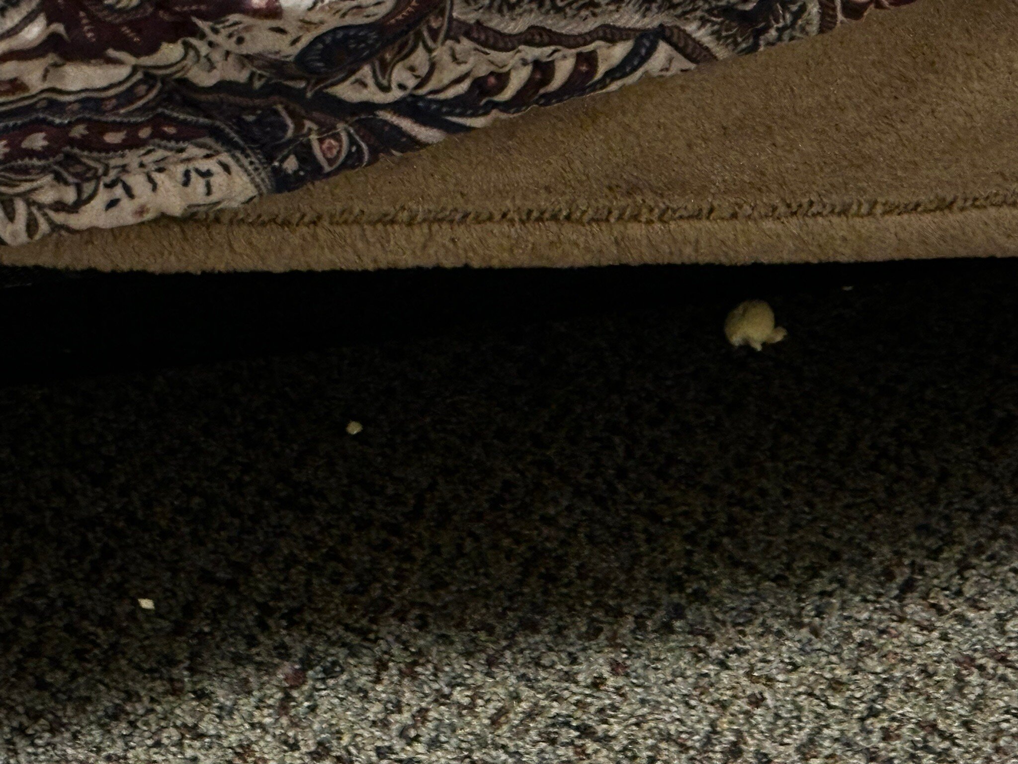 Skagit Motor Inn-官方