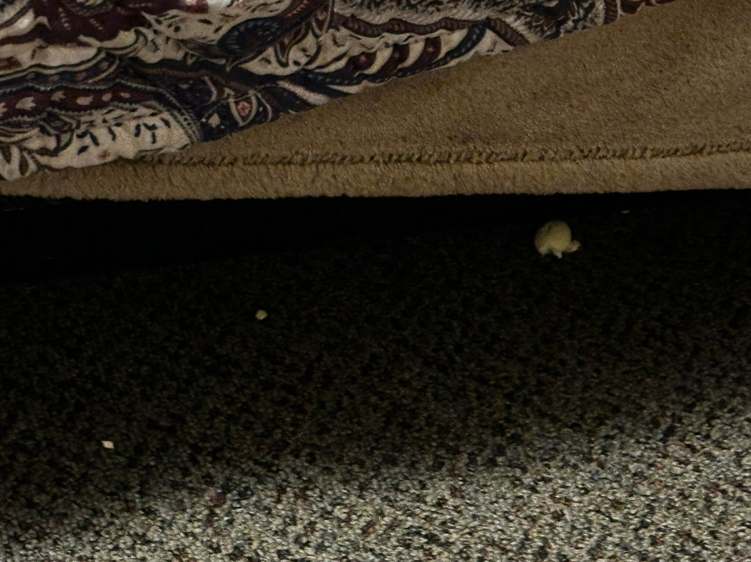 Skagit Motor Inn主图