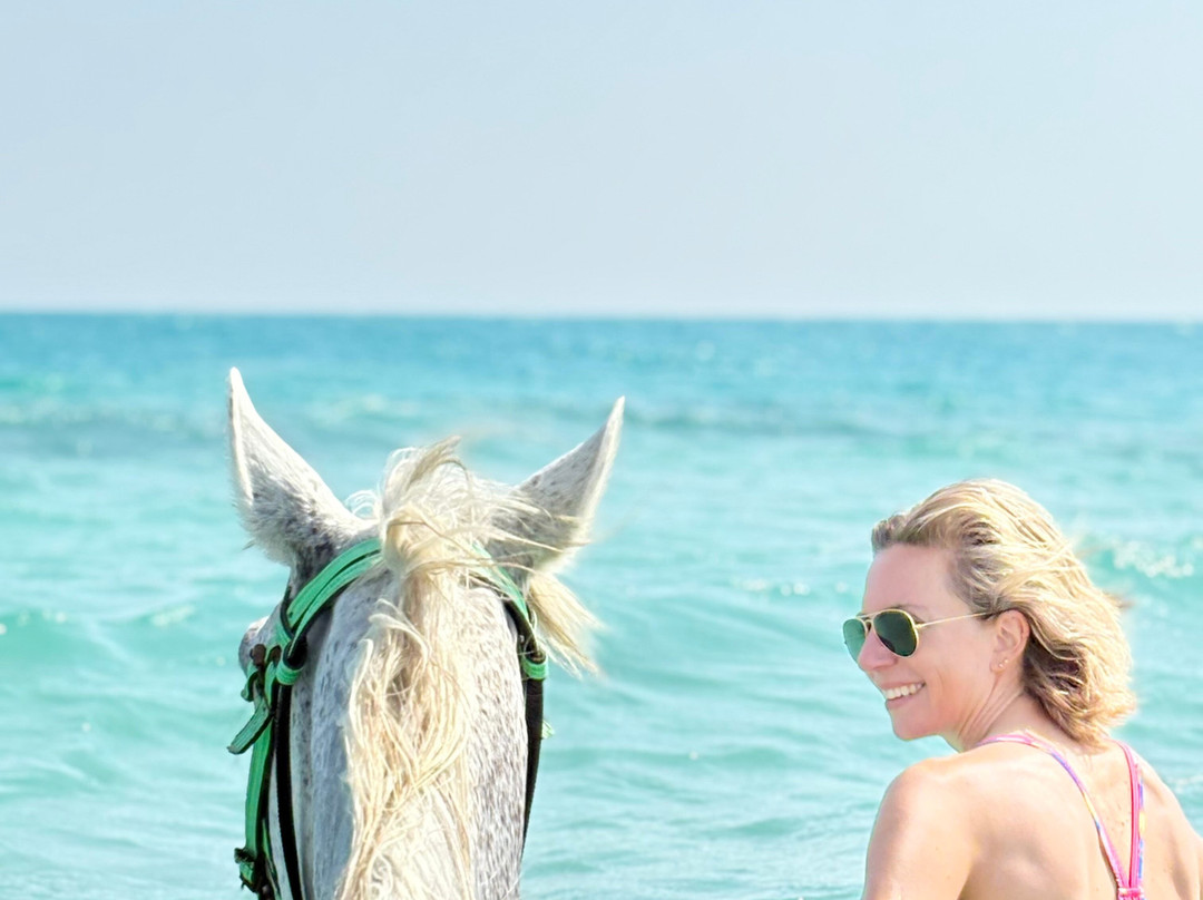 Yallahorse Stable-艾高娜必去景点