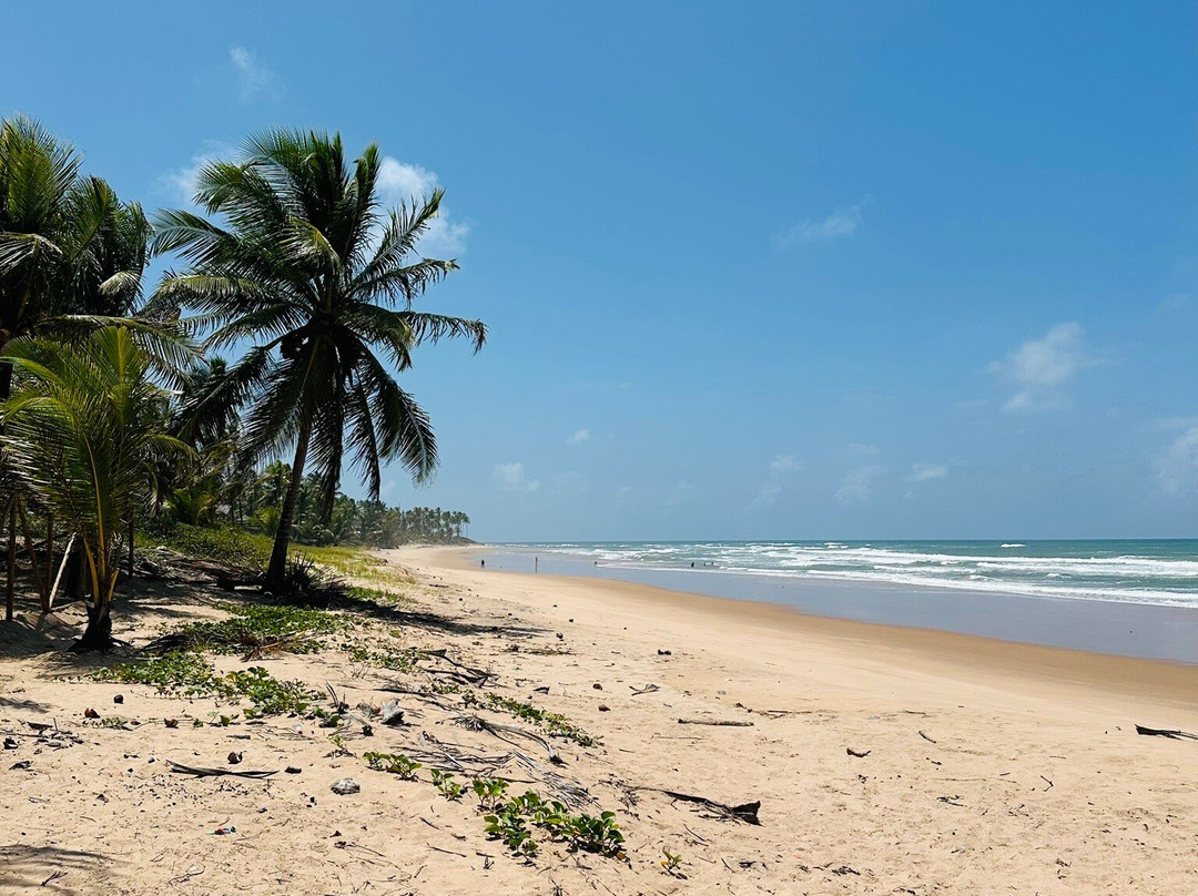 Praia do Cassange-Marau必去景点