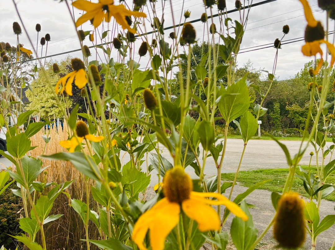 ToursByLocals-哈利法克斯必去景点