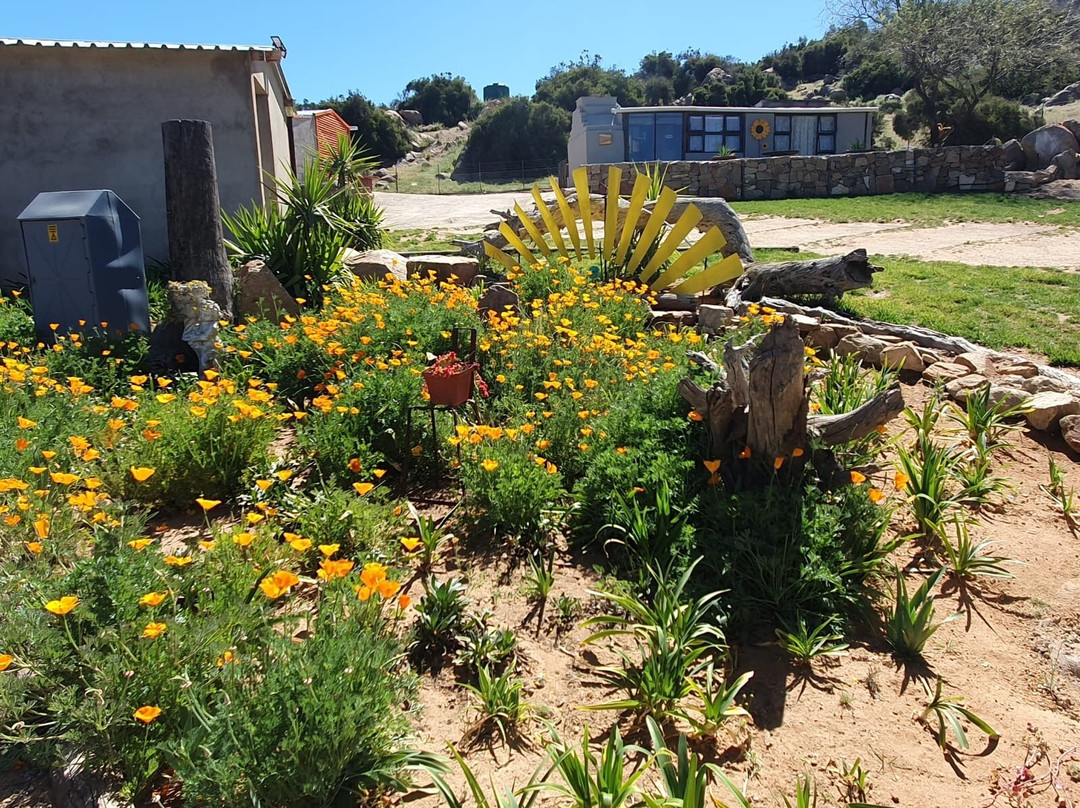 Thys'e Kombuis & Guest Lodge