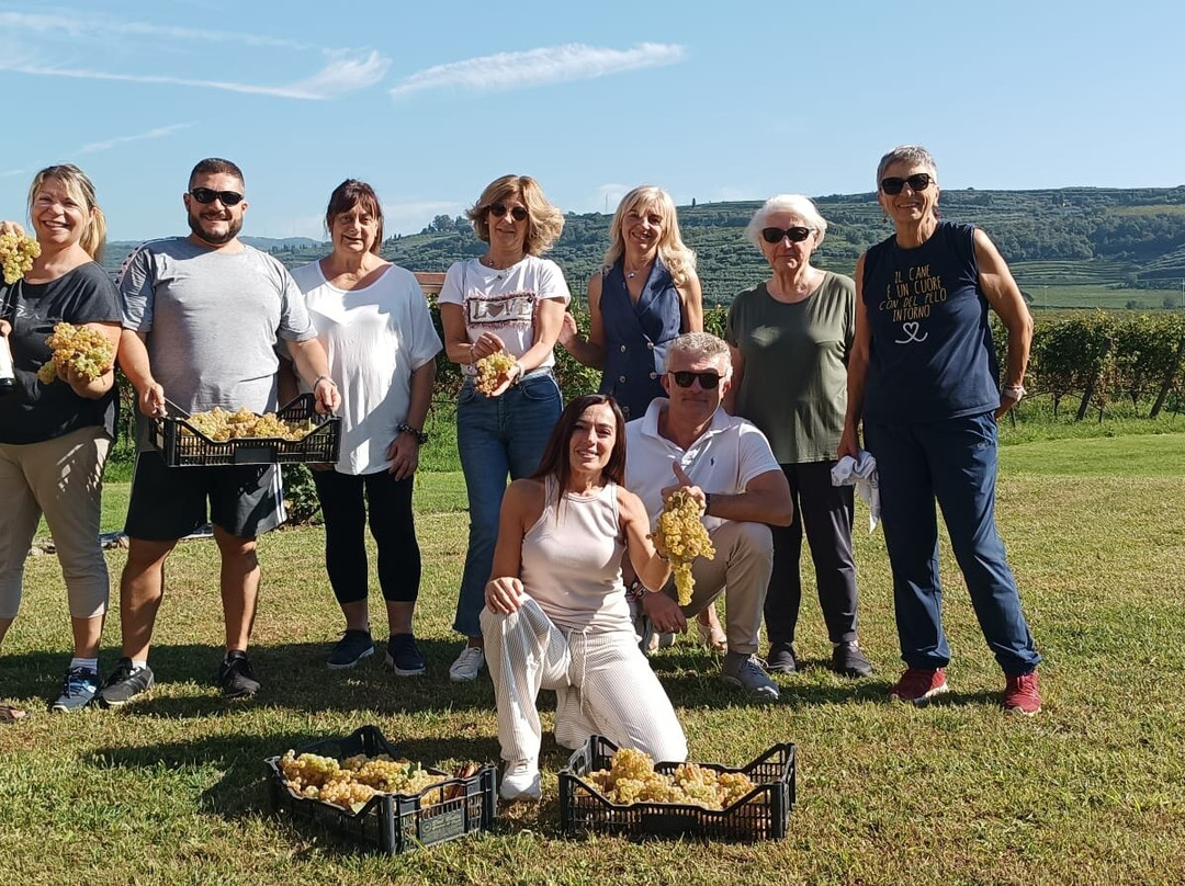 Azienda Agricola Vicentini Agostino-Colognola ai Colli必去景点