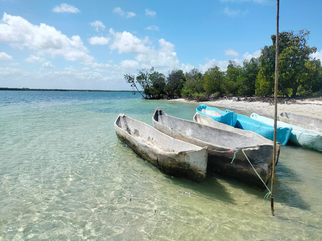 Safari Kenya Con Aragosta-瓦塔木必去景点