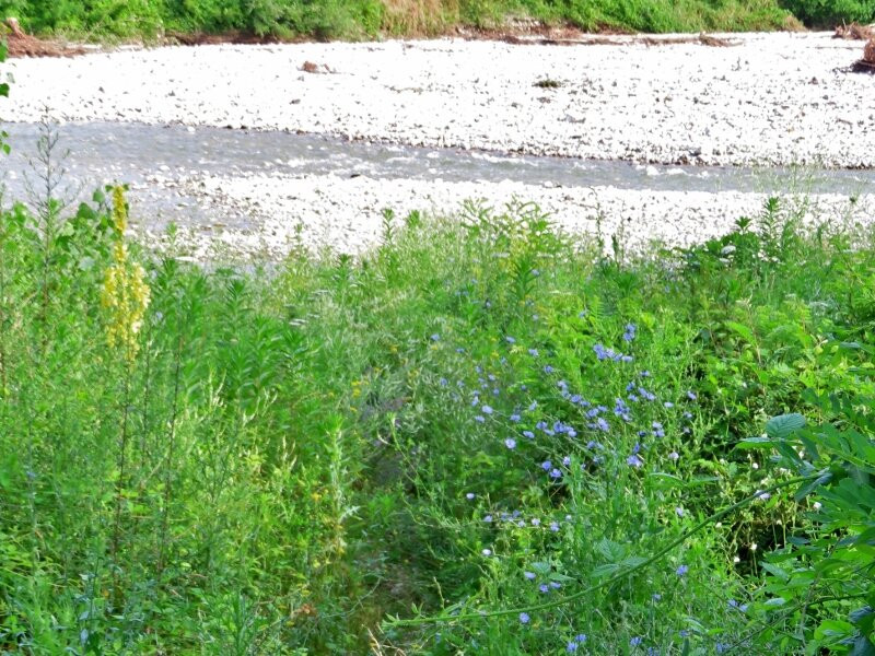 Sentiero del Tidone-皮亚琴察必去景点