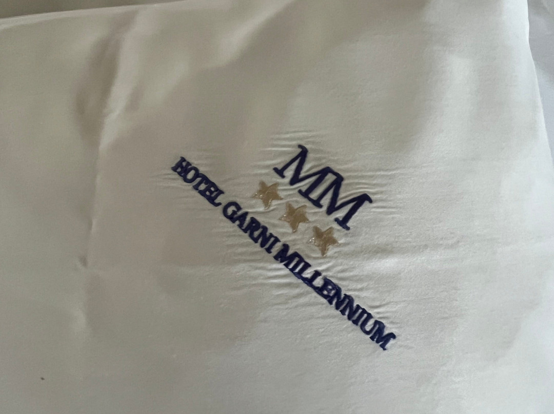 Hotel Millennium主图