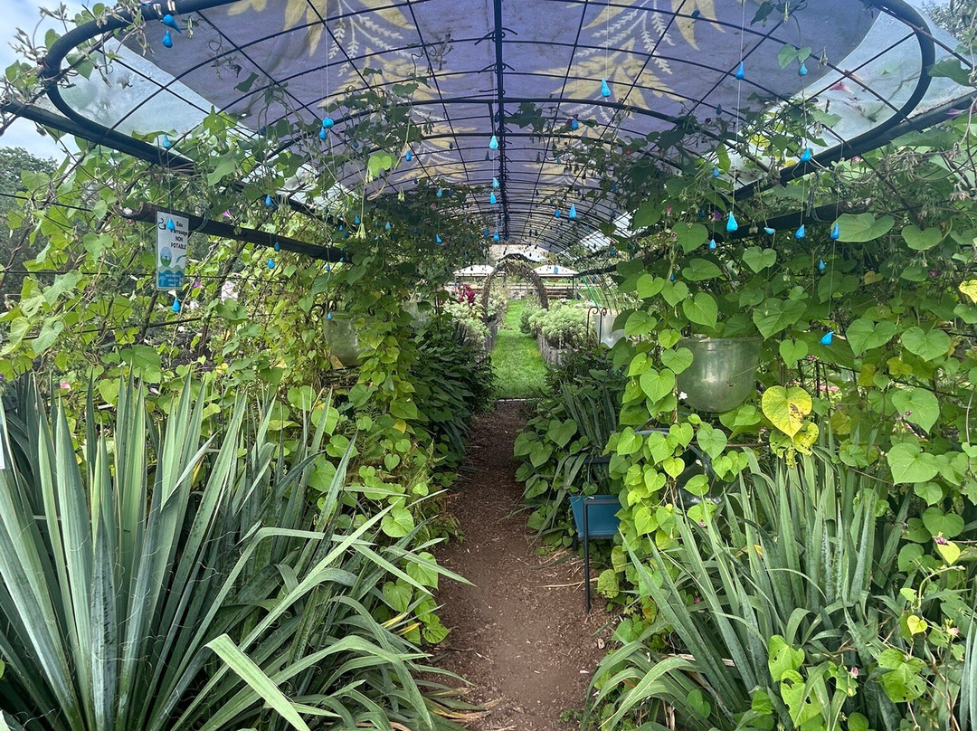 Parc de Wesserling - Ecomusée textile-Husseren-Wesserling必去景点
