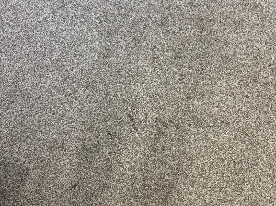 The Charles Hotel主图