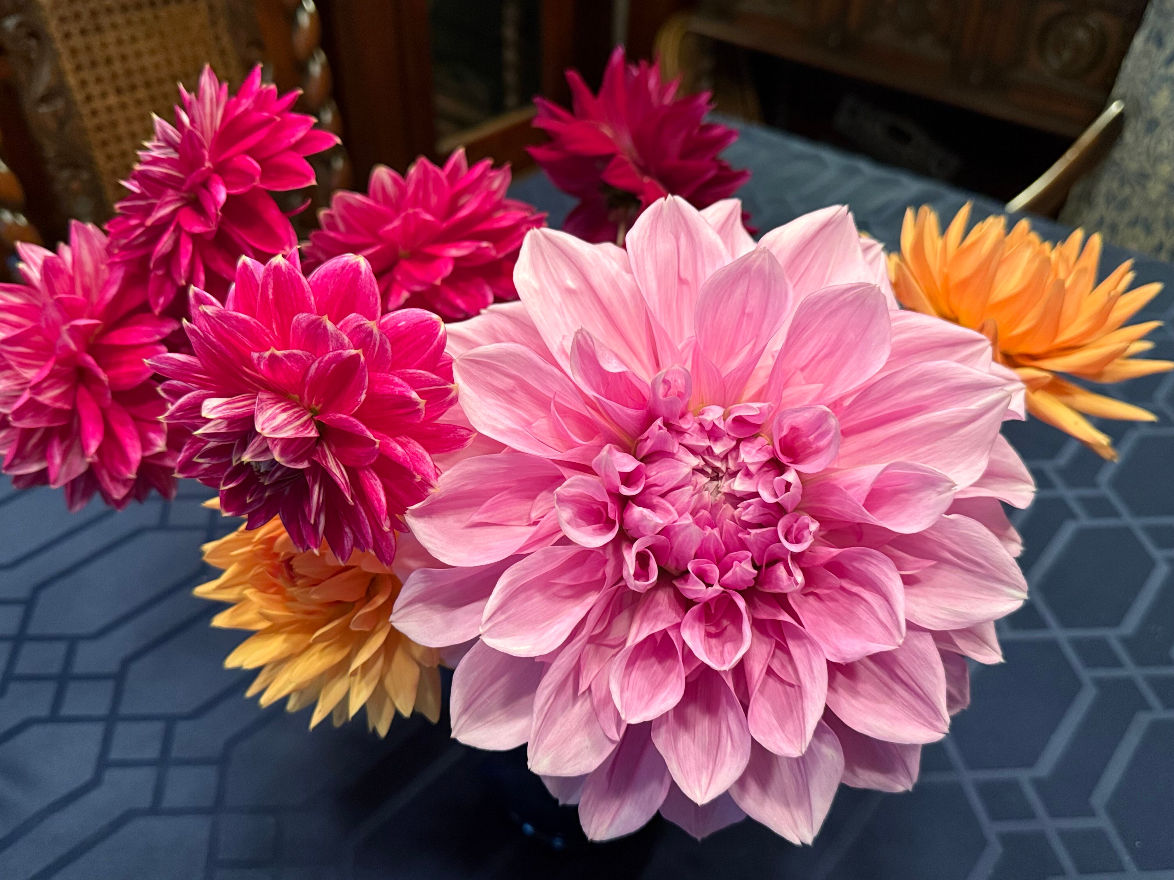 The George Johnson House-浴室