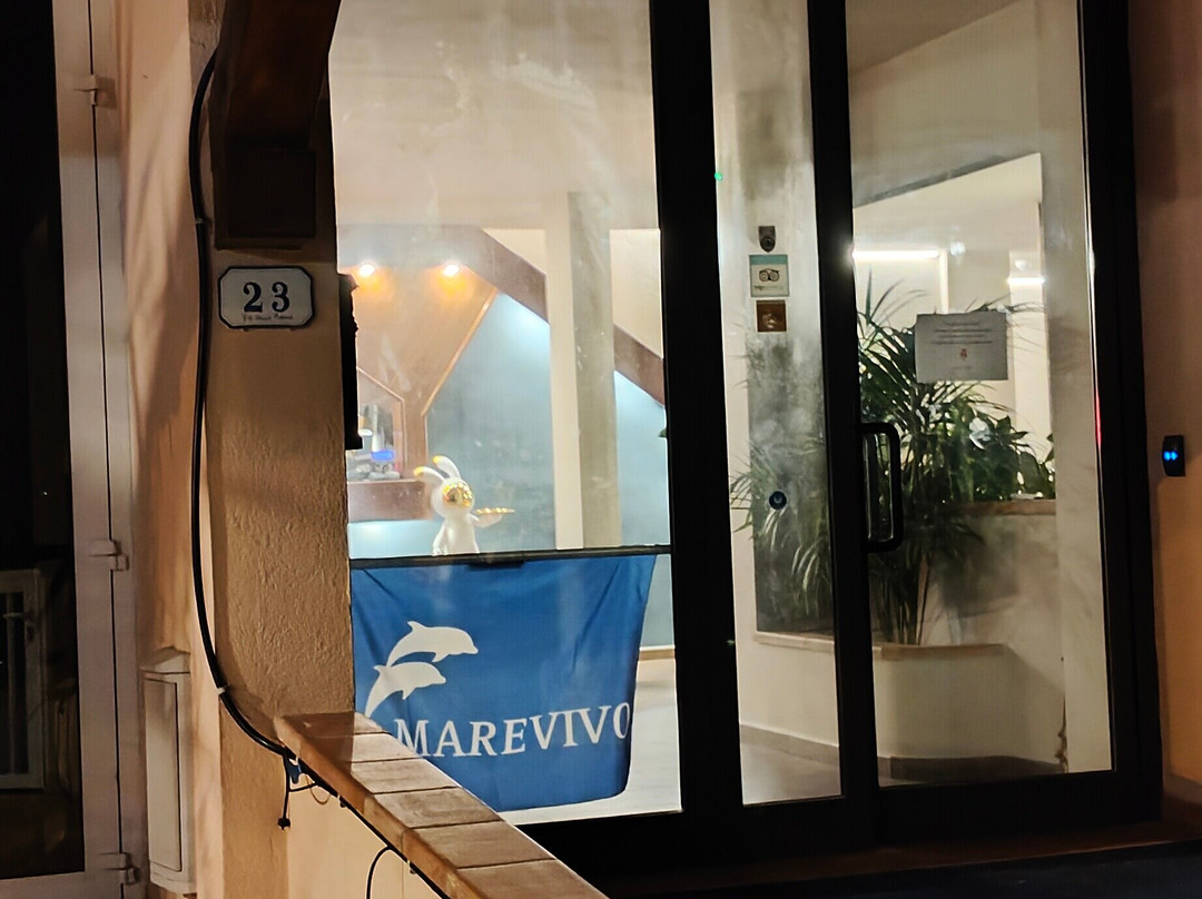 塔拉莫海湾主图