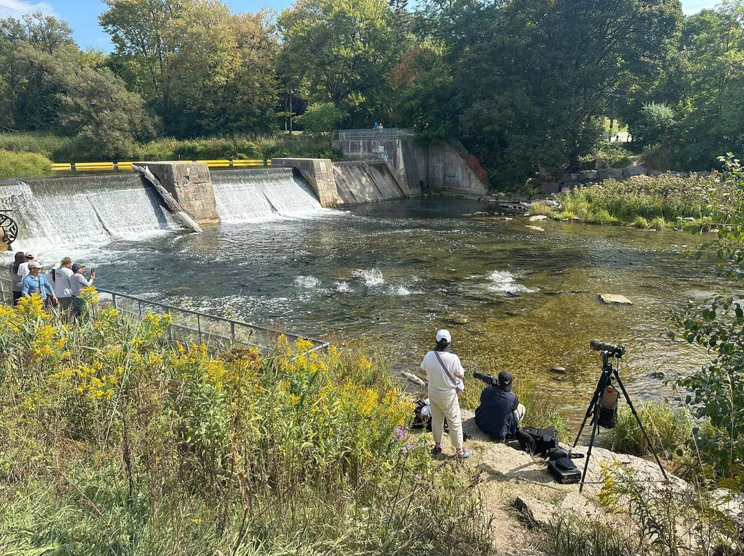 Port Hope Conservation Area-Port Hope必去景点