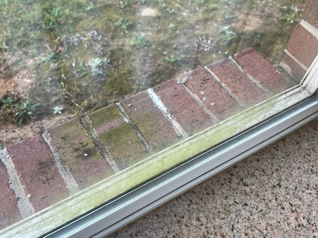 Best Western Dothan Inn & Suites主图