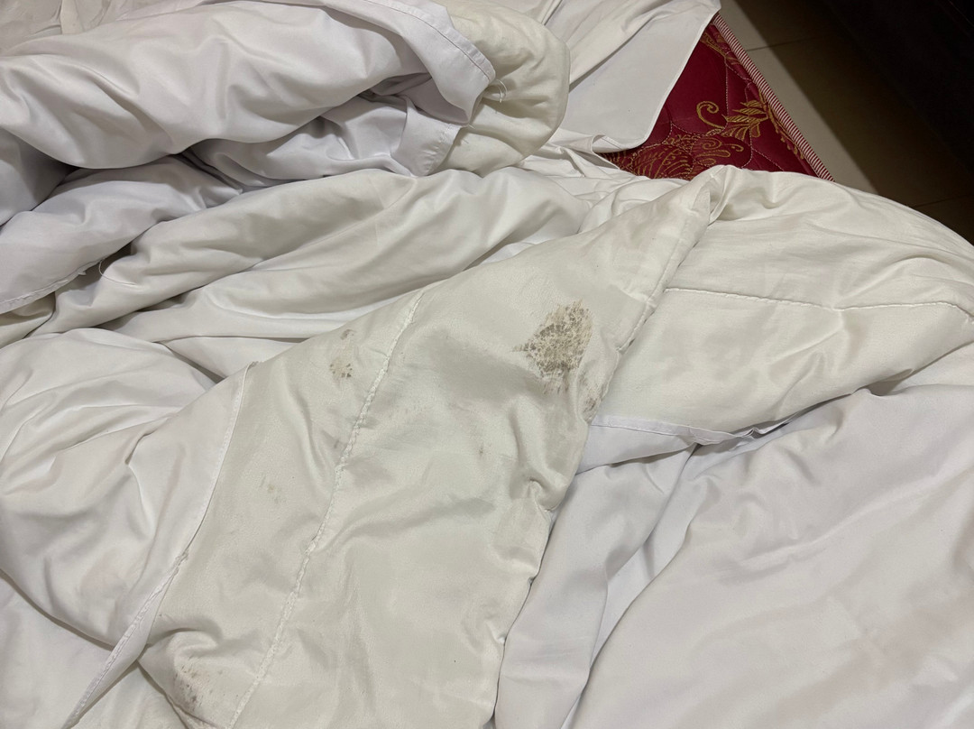 SM Bromo Hotel主图