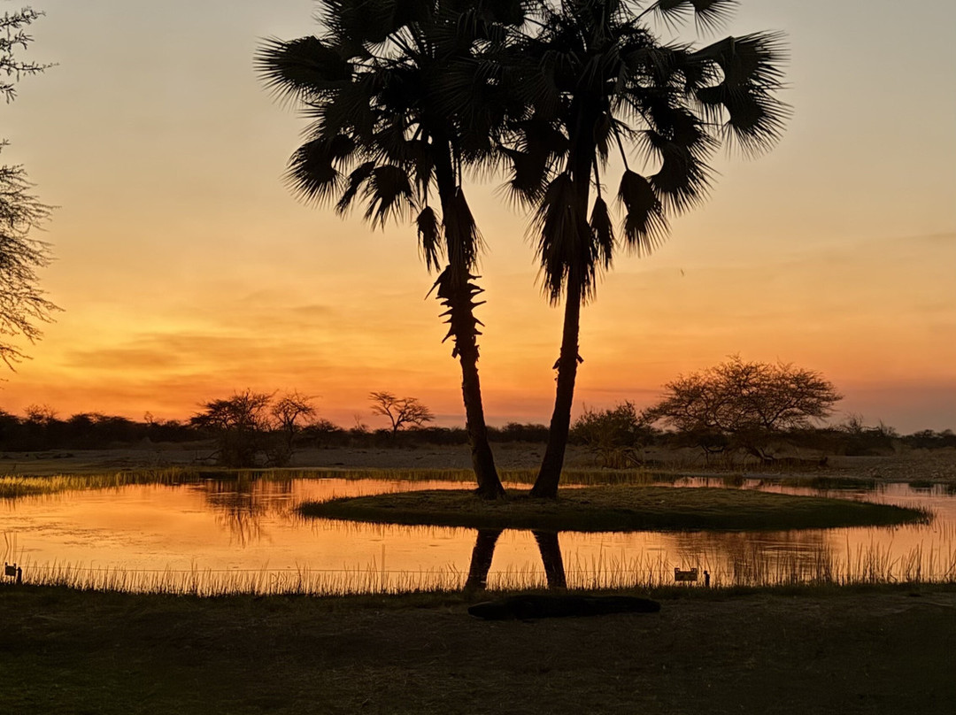 Onguma Bush Camp主图