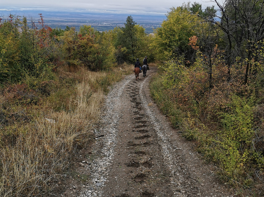 Horseriding Bulgaria - Day Tours-索非亚必去景点