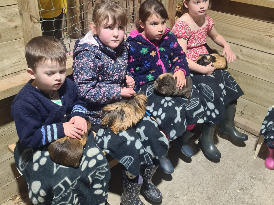 Woolley Animals Farm Park-Winkleigh必去景点