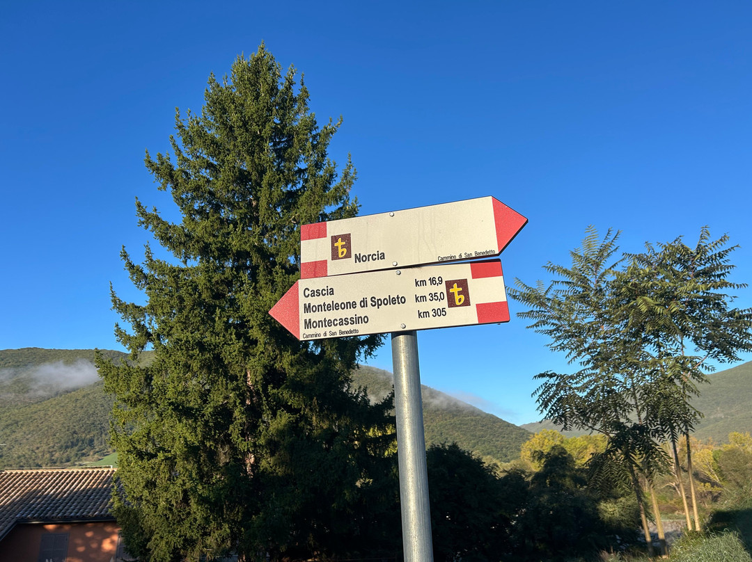 Il Casale San Martino主图