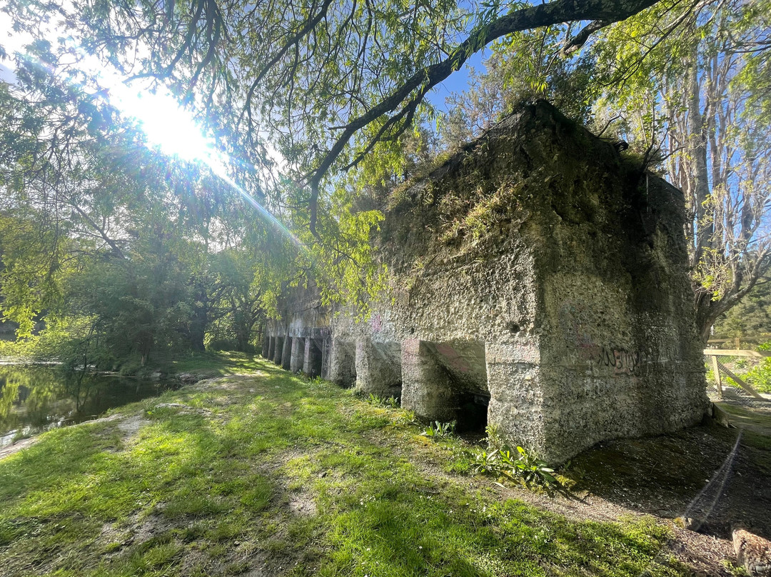 Cement Works-瓦卡沃夫必去景点