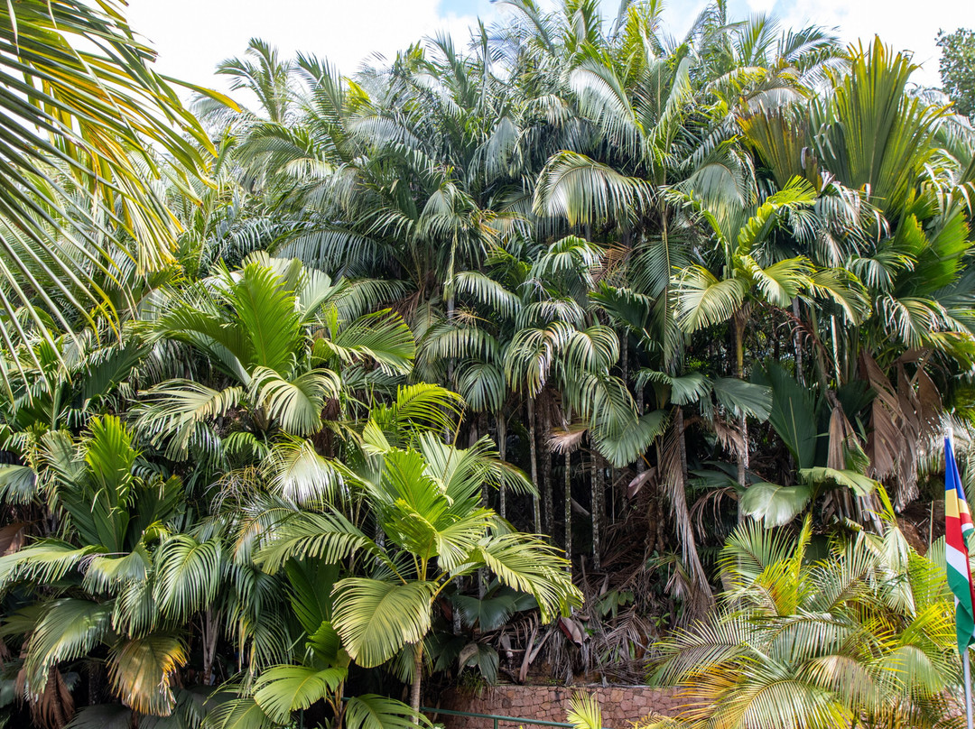 Dave's  Tour-普拉兰岛必去景点