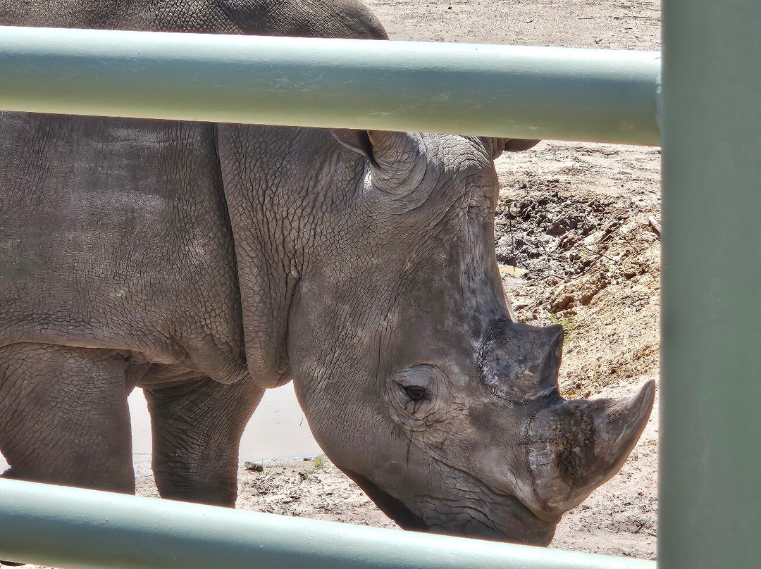 Halls Gap Zoo-贺思盖必去景点
